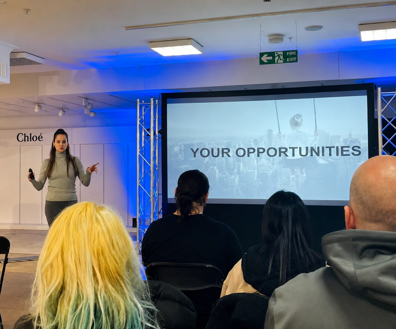 Nicoleta Marian presenting to a group